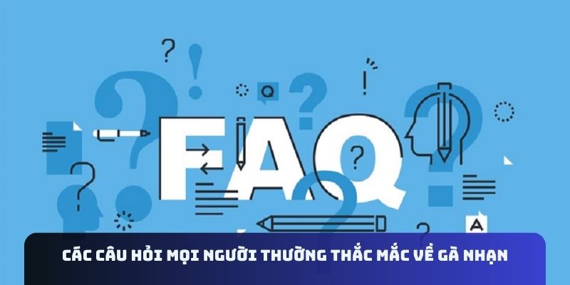 Các câu hỏi mọi người thường thắc mắc về gà nhạn